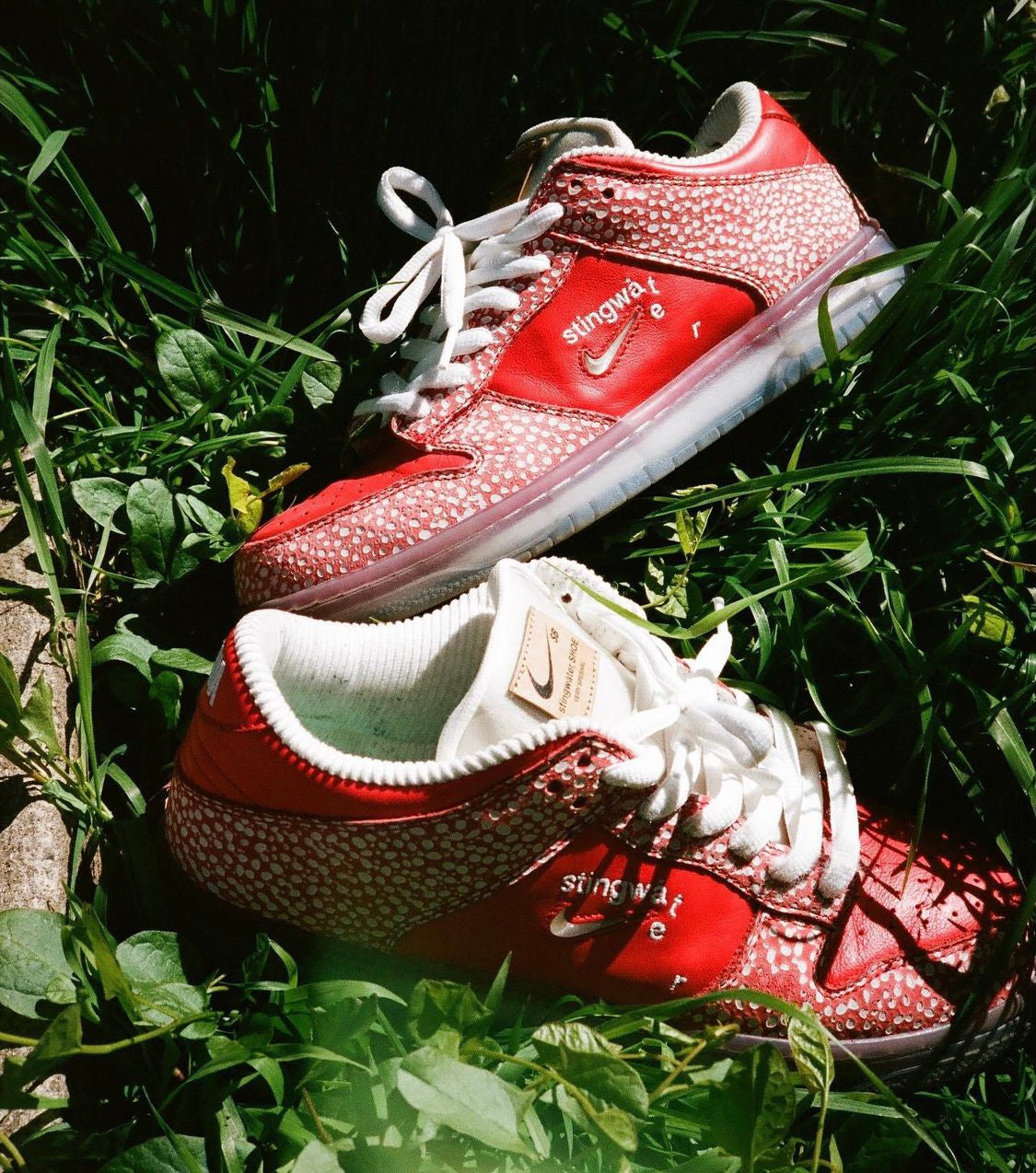 NIKE SB X STINGWATER DUNK LOW RAFFLE INFORMATION â Travel Skateshop