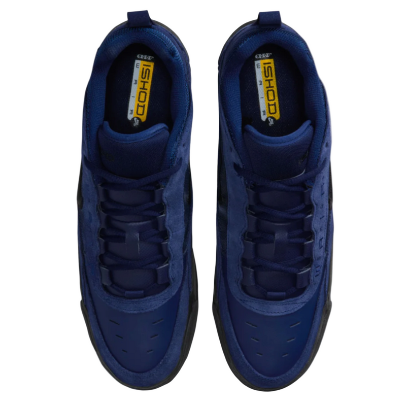 Nike SB Air Max Ishod
